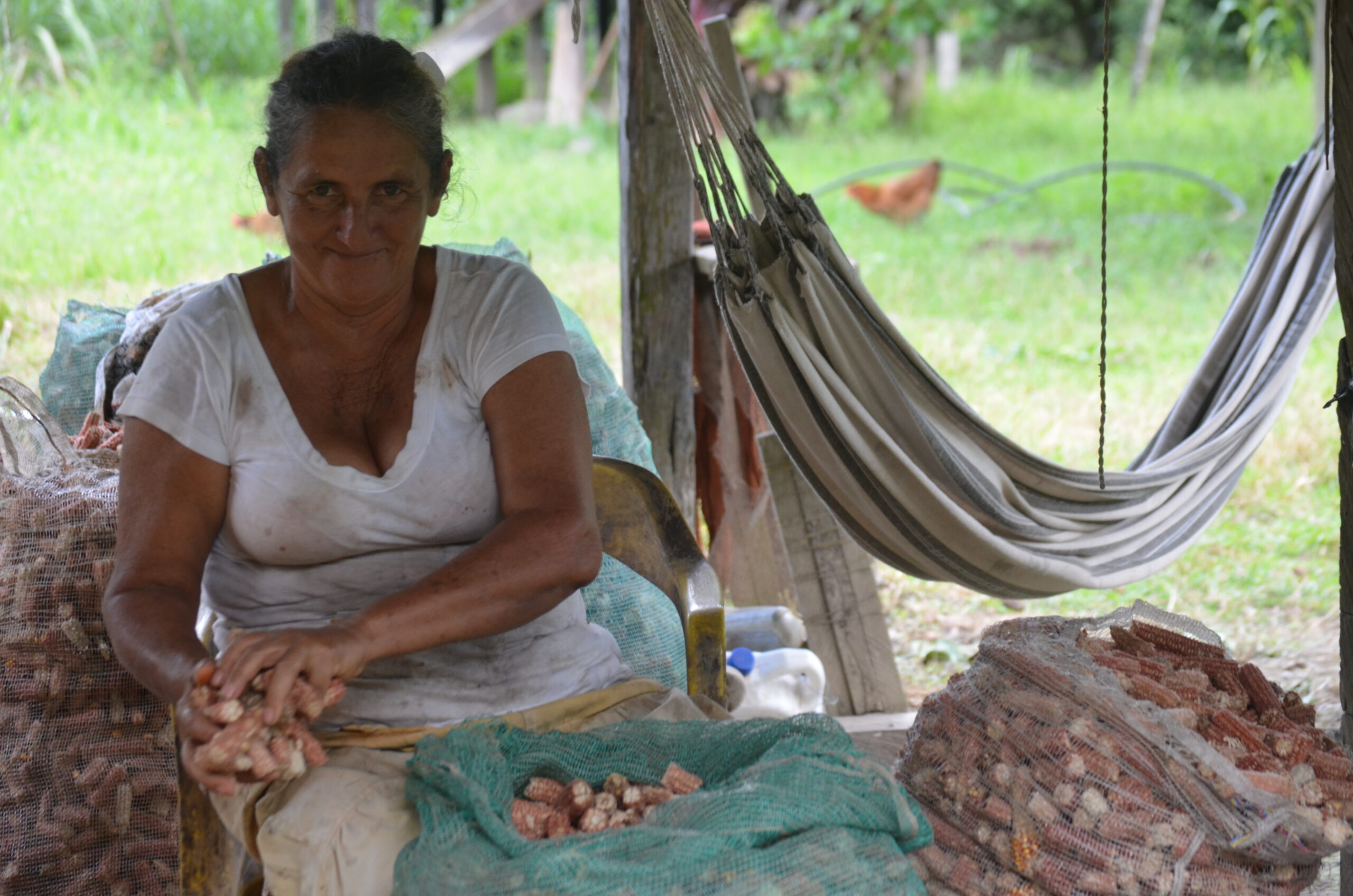 3. Gestionar espacios de apropiación social e intercambio de conocimiento, con perspectiva multicultural y a diferentes escalas.